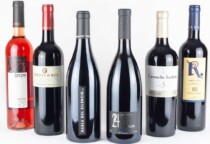 Foto de El Viaje De Los Sentidos opiniones sobre vinos