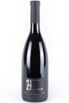 Corcovo 24 Barricas Syrah spanish red wine photo