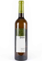 Corcovo Airén bottle of white wine photo