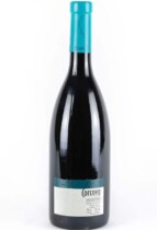 Corcovo Syrah spanish red wine photo