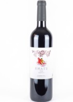 Imagen de Enate Tapas bodegas de vino Somontano