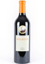 Foto de Malleolus magnum la ruta del vino España