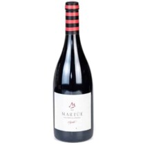 Imagen de Martúe Syrah a que temperatura deben estar los vinos