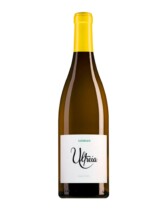 Ultreia Godello vino blanco Bierzo foto