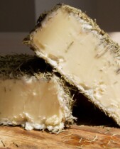 Semi Soft Romero Lacaune cheese photo