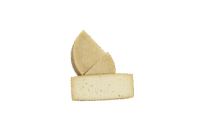 Soft Lacaune sheese photo