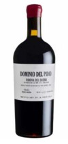 Dominio Del Pidio Tinto vino foto