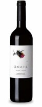 Enate Syrah-Shiraz foto