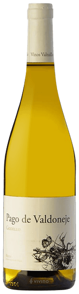 Foto de Pago de Valdoneje Godello